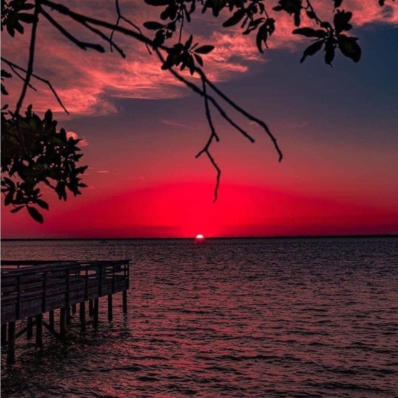 savannahmont697